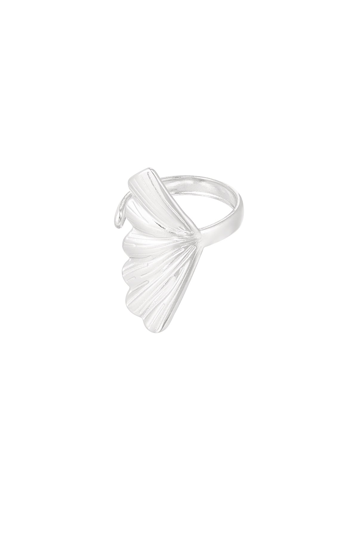 Shelly Ring