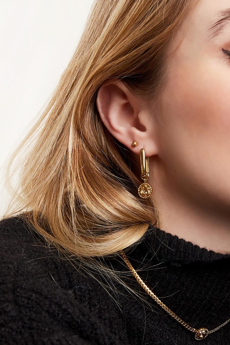 Earrings rose Gold Color Stainless Steel