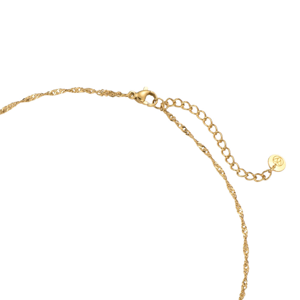 Shining Bear Edelstahl Kette