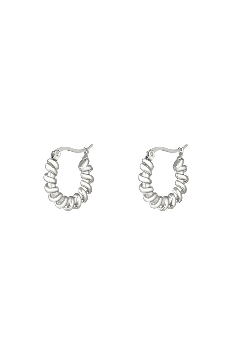stainless steel earrings 