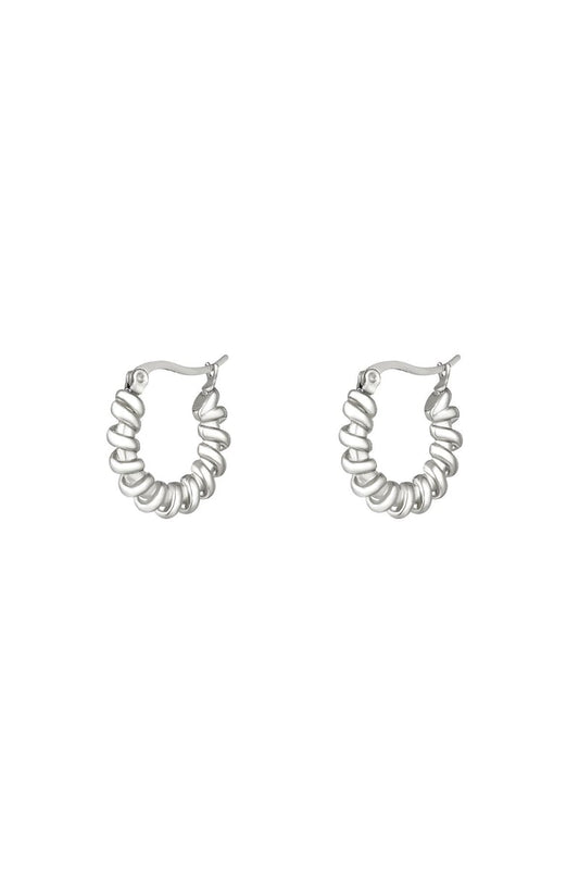stainless steel earrings 